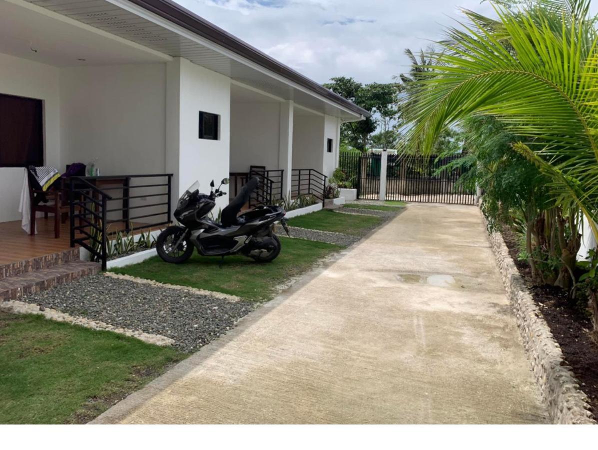 Palm Tree Lodge Moalboal Ngoại thất bức ảnh