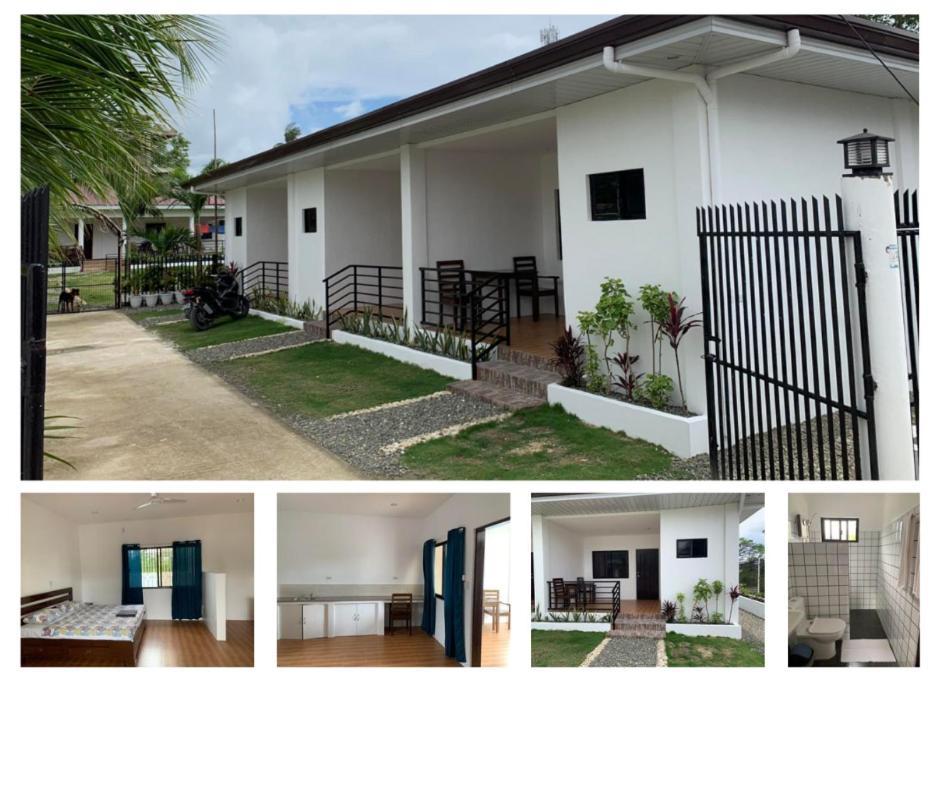 Palm Tree Lodge Moalboal Ngoại thất bức ảnh